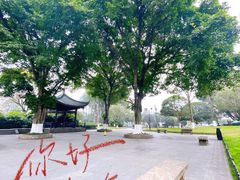 -桂湖森林公园