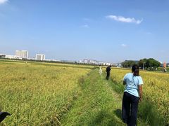 -光明小镇欢乐田园