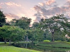 -中国科学院西双版纳热带植物园