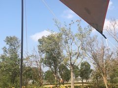 -春花秋色城市公园