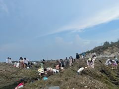 -养马岛旅游度假区