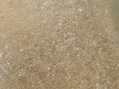 -汕尾风车岛