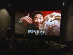 -CGV影城(黄河道ScreenX店)