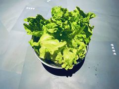 生菜-唯成•韩国炭火烤肉 유성고기