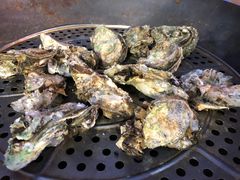 桑拿生蚝-飞尝蚝·顺德菜·鱼生(顺德总店)