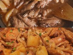 -石家庄市动物园