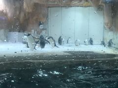 -威海华夏城景区