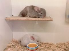 -龙猫仔乐园(惠福东路店)