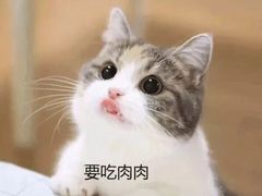 -1点点(银座和谐广场店)