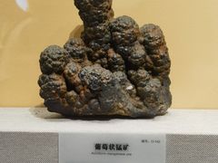 -湖南省地质博物馆