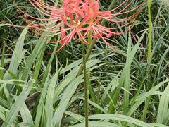 -贵阳市花溪国家城市湿地公园