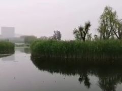 -大兴滨河森林公园