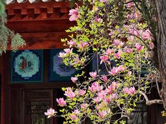 -万寿八仙宫