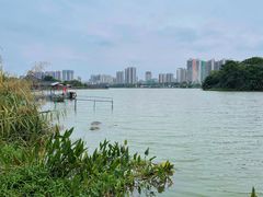 -飞来湖湿地公园