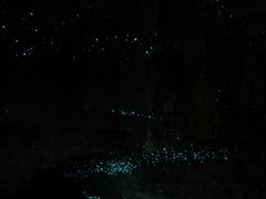 -怀托摩萤火虫洞