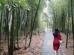 -藏龙百瀑风景区