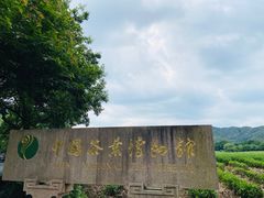 -中国茶叶博物馆(双峰馆区)