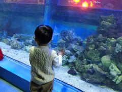 -北国之春国宴(乌兰察布店)