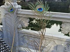 -重庆动物园·东二门售票处