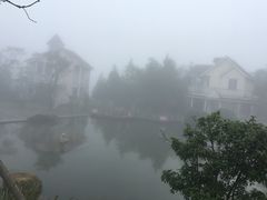 -江南天池