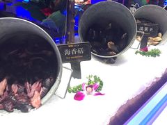 -加餐海鲜自助(宝龙一城店)