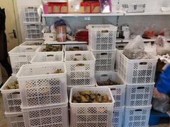 -璐坊粽王(复兴中路店)