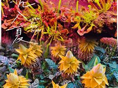-正佳雨林生态植物园
