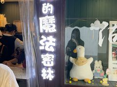 -猫的魔法密林(衣裳街店)