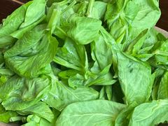 -滇野云南野生菌餐厅(陕西南路店)