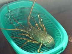 -班赞海鲜市场