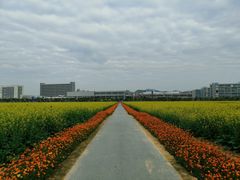 -光明小镇欢乐田园