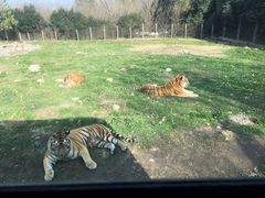 -西安秦岭野生动物园