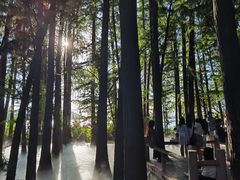 -东湖落雁景区