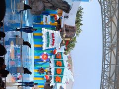 -海合安成都极地海洋公园