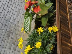 -富家大院·海鲜河鲜土菜坊(庭院式餐厅)