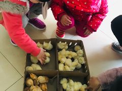 -兴芮温泉度假区