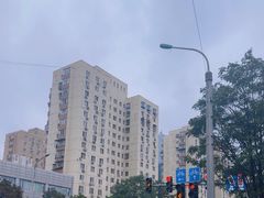 -团结湖公园
