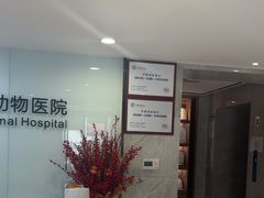 -北京派仕佳德动物医院·超导核磁·CT·神经科·骨科·内外科·急重症管理中心