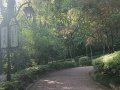 -杭州半山国家森林公园