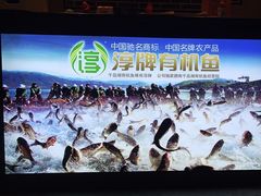 -千岛湖小鱼儿·淳安匠心农家菜