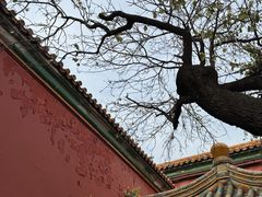 -故宫博物院(故宫)