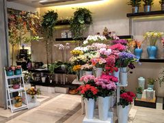 -香港尖沙咀凯悦酒店