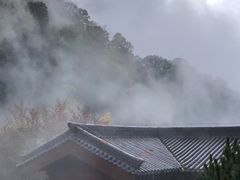 -少华山国家森林公园