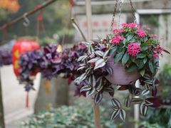 景观位-国生茶庄·地道农家菜团建活动