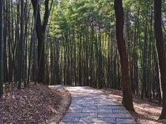 -西湖风景区十里琅珰-五云山
