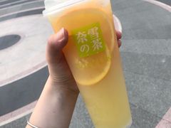 霸气橙子-奈雪的茶(花城汇中区PRO店)