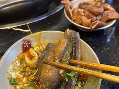 -肥龙火锅(南坪店)