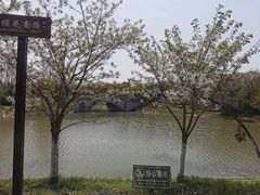 -上海海湾国家森林公园