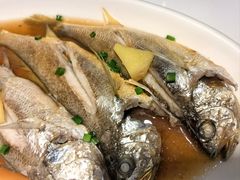 清蒸黄鱼-温岭人家(红花北路店)