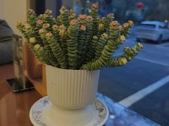 -丽泽山庄·生态怀柔菜·虹鳟鱼(红螺寺店)